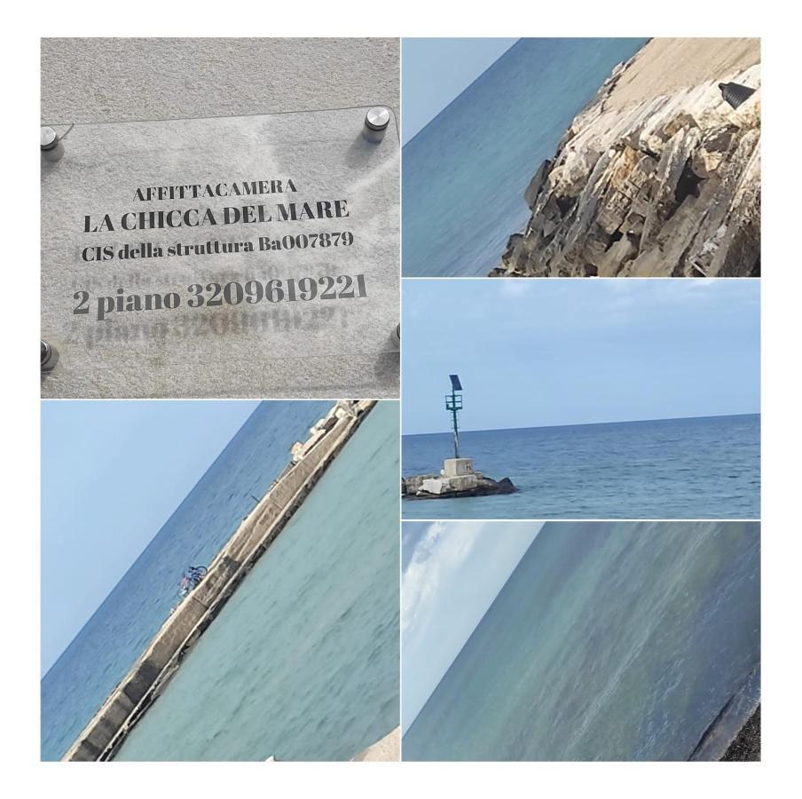 מלון בארי La Chicca Del Mare מראה חיצוני תמונה
